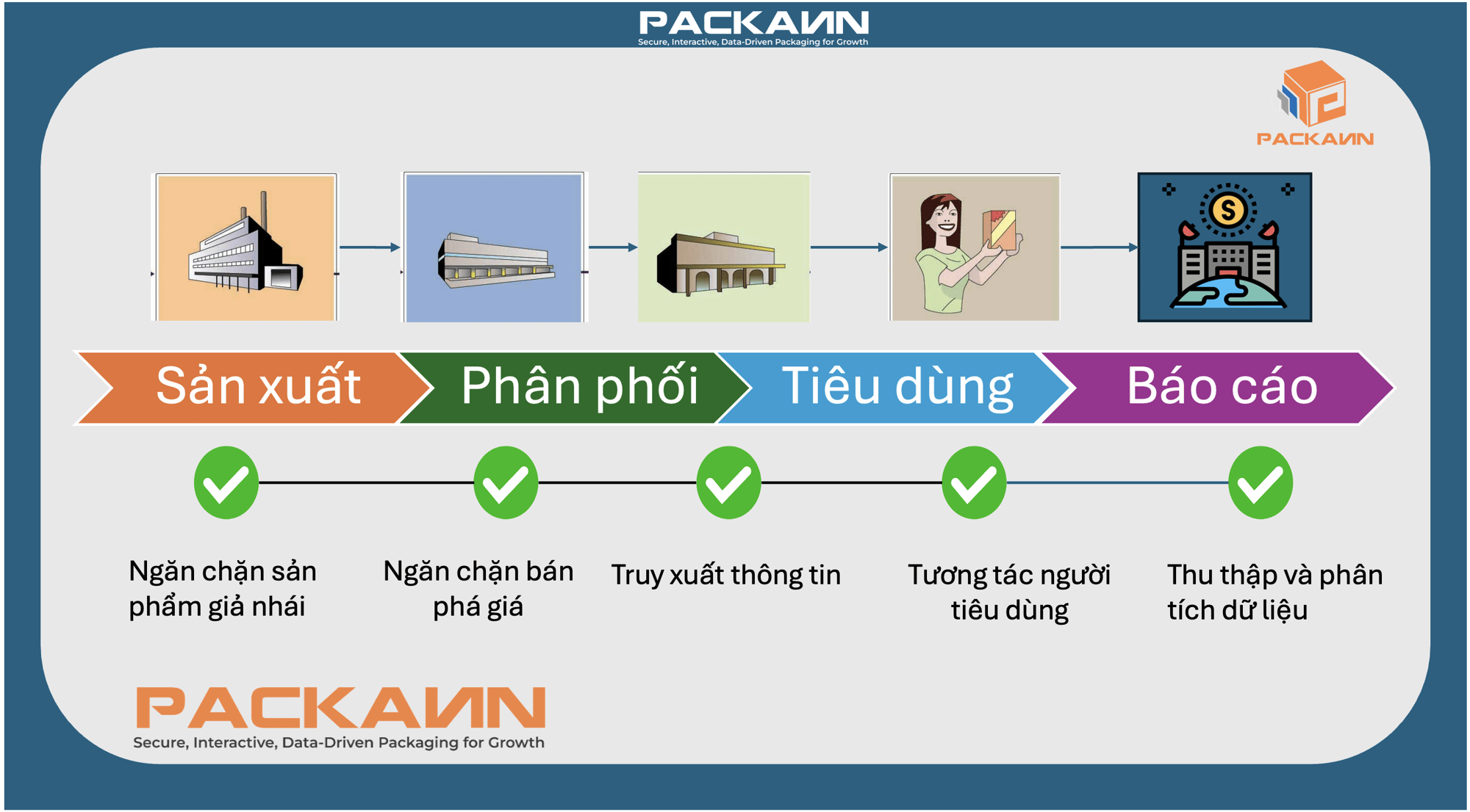 packann-distribution-to-consumer-solution-flow